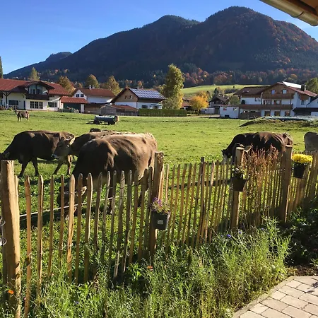 Appartement Blockhaus Gruenes Herz Halblech