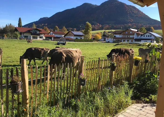 Appartement Blockhaus Gruenes Herz Halblech